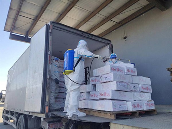 天津殺蟲公司教你解決工廠蟲害問題